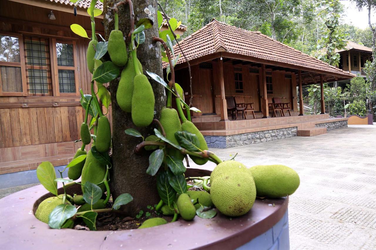 Kalppavanam Heritage Resort Теккади Экстерьер фото